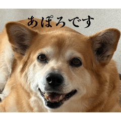 tomomi_20260228214234