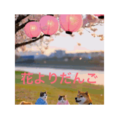 merumyu_20260301095302