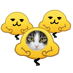 AZUKING_20260301085216