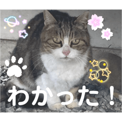 mariko_20260301084648