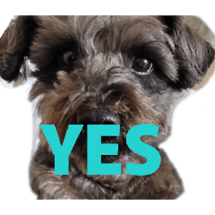 TATECHAN_20260301085430