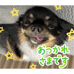 YUZU_20260301015507