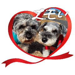 dog dog_20260301013001