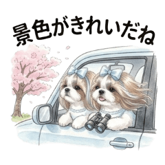 moco.peco_20260301014314