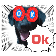 Sakaya_20260228233134