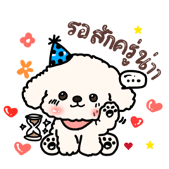 Kwanruthai_20260228234852