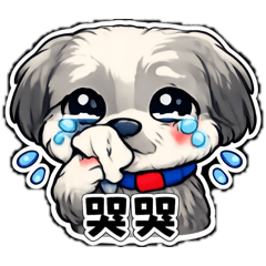 我家小笨西西