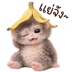 ลิงน้อยน่ารัก❤️❤️❤️Big