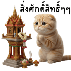 Flufy Cream Cat use everyday