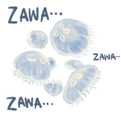 おもしろくらげ English Ver Line スタンプ Line Store おもしろくらげ English Ver Line スタンプ Line Store