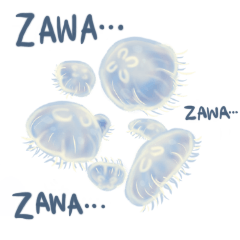 Funny Jellyfish with English Phrases