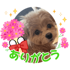 casmin_20260301093017