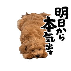 T_20260301104510