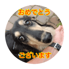 Airu100