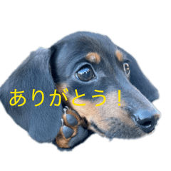 k_20260301111429