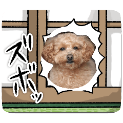 ATOMU_20260301115928