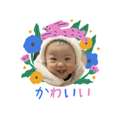 harukichi_2026120102