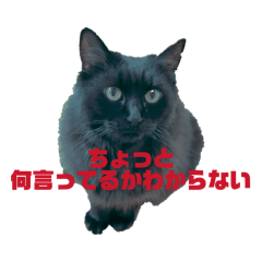 Mikinyan_20260301124402