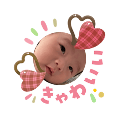 MONSTERA_20260301124447