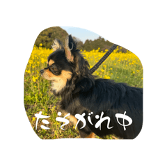 TANTAKATAN_20260301203611