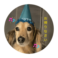 HANAO_20260301203741