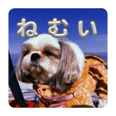 manyoubell