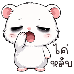 อู้กำเมือง (Ver.หนูตะเภา จอมกวน)