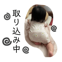 moom_20260301230920