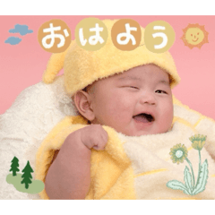 toramomoka