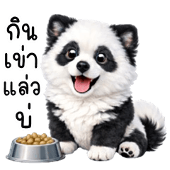 เว้าอีสาน (Ver.น้องหมาแพนดี้)