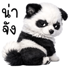 อู้กำเมือง (Ver.น้องหมาแพนดี้)