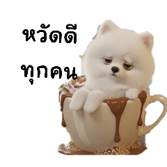 jaojan_20260301142523