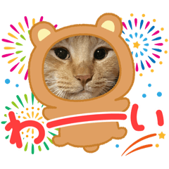 moka stampdayo