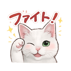 PUCCHI_20260301222837