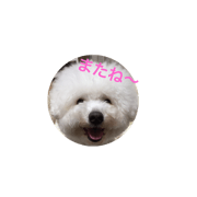 fuutan's message
