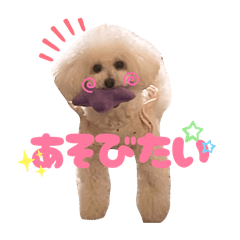 VERPS_20260227164405