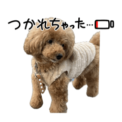 Runa_20260227160232