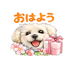 软萌白狗系列 第32弹