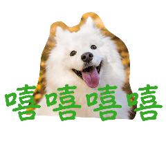 泡你的勒