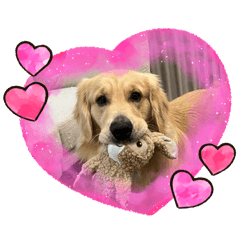 aoten_20260301200416