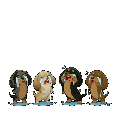 Animalcreation_20260302112513