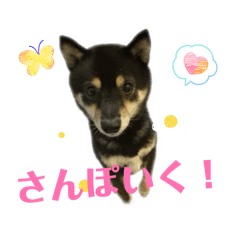 Takae_20260227220931