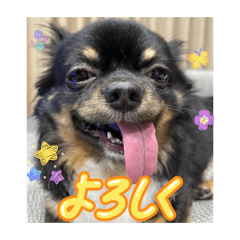 YUZU_20260301181058