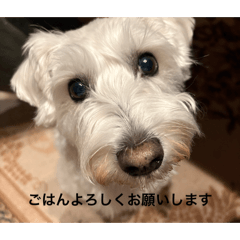 Popomi_20260301215413