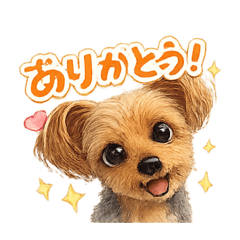 TARACO_20260301155758