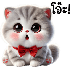 แมวเทา-ขาว น่ารัก : ใช้ได้ทุกวัน