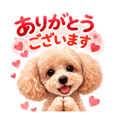 Pomme_20260301164112