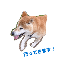 mumu_20260301192855