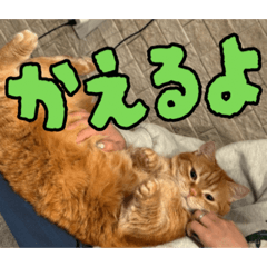 shoka_20260301202813