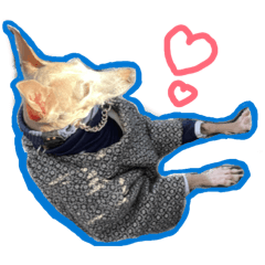 satoh_20260227223952